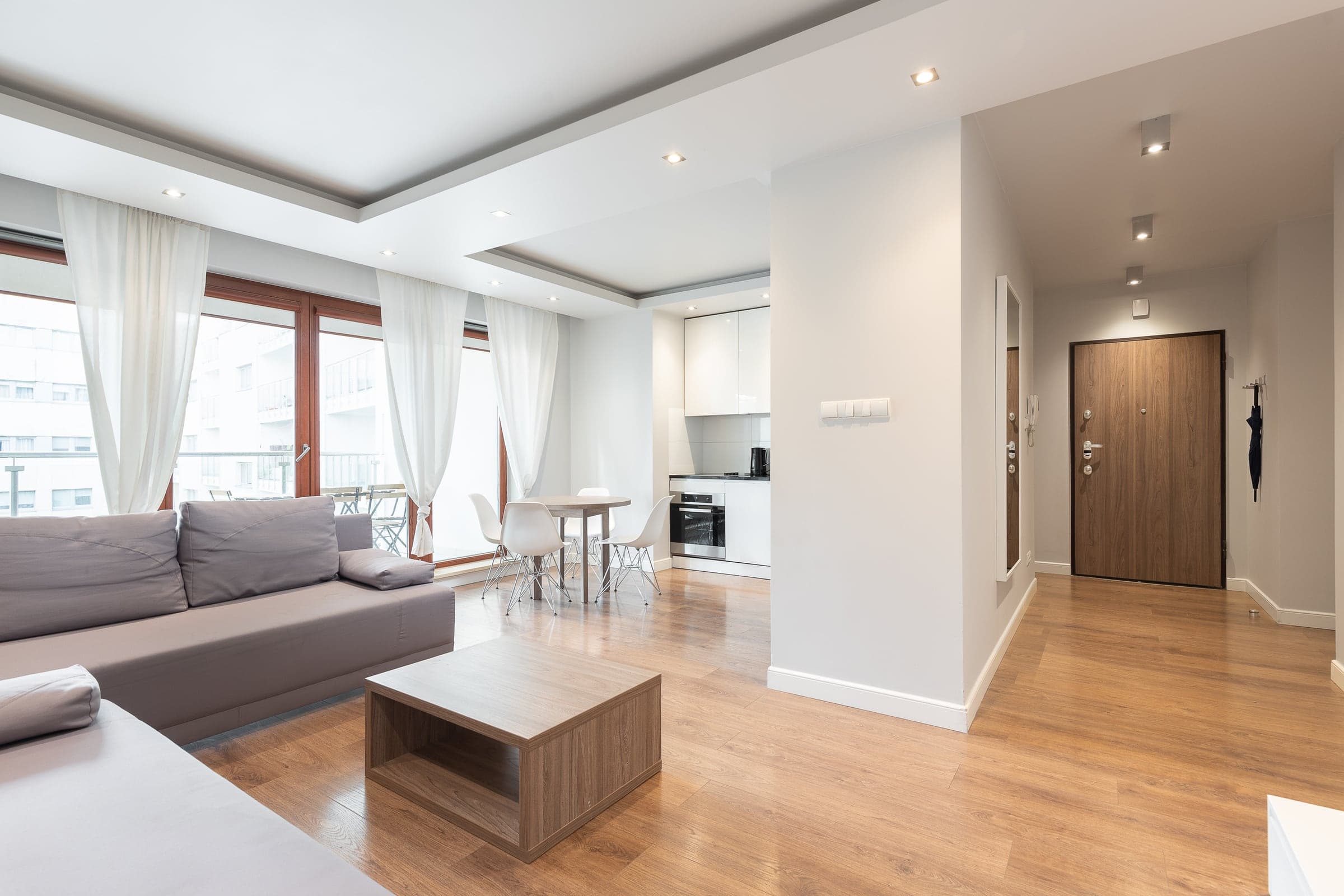 Entrance, living room and the kitchen